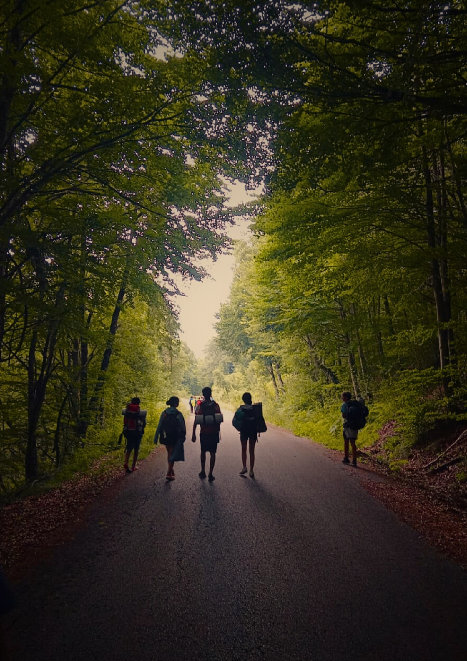 Camino de Santiago