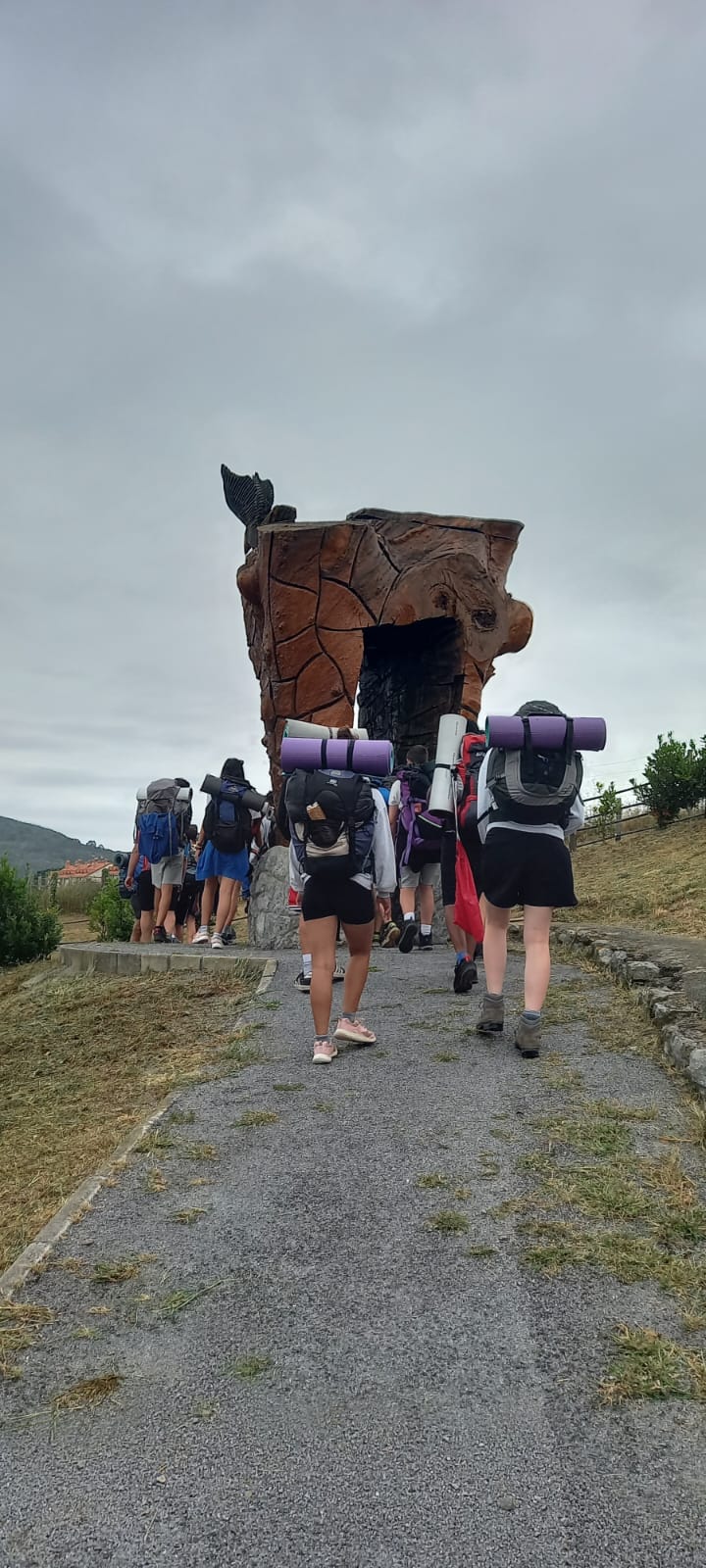 Camino